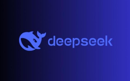 DeepSeek birçok ülkede yasaklanıyor