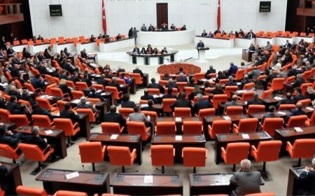 Demokrasilerde Muhalefetin Önemi ve Topluma Katkısı